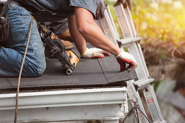 Best Gutter Installation and Roofing  in Cadiz, OH